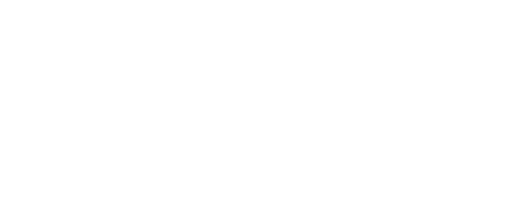 Fender
